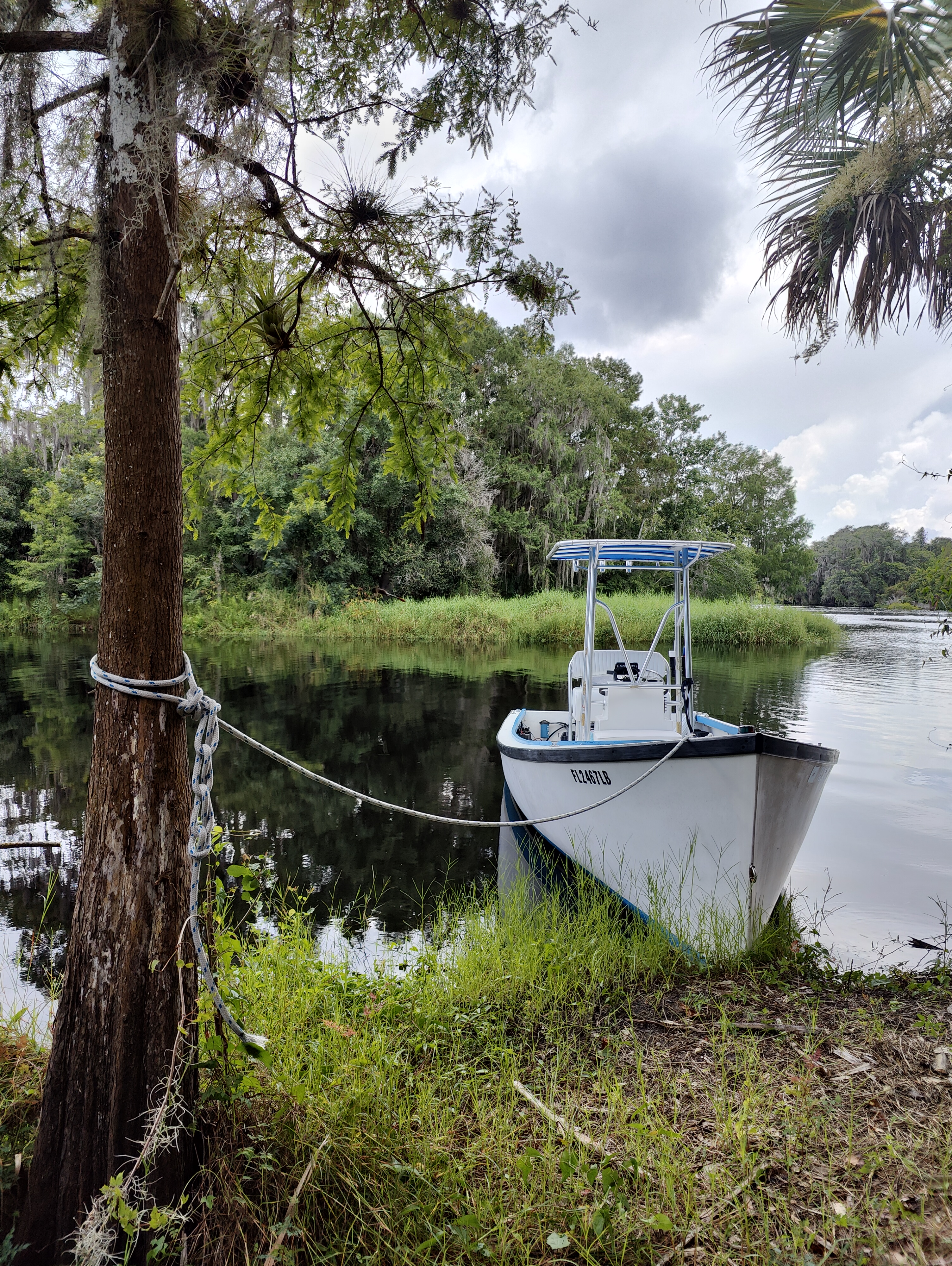 Peace River, Florida, Peace River Charters, Peace River Tours